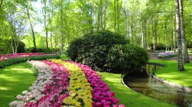 Çiçekli taze çimen