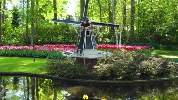 Nederlandse windmolens — Stockvideo