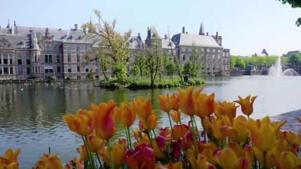 Бинненхоф - Парламент Нидерландов, Голландия — стоковое видео