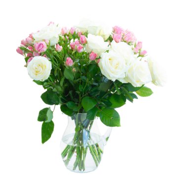 Pembe ve beyaz çiçek açan güller