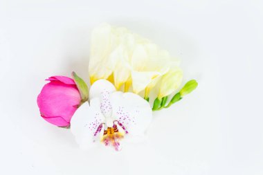 Çiçeklerin düz konumu