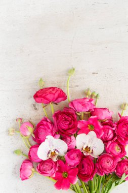 Çiçeklerin düz konumu