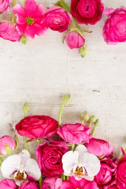 Çiçeklerin düz konumu