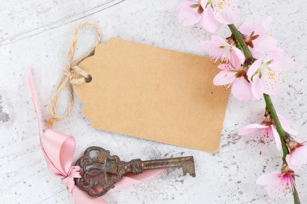 Flores de árbol de primavera — Foto de Stock