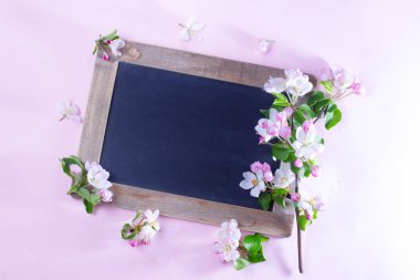 Bahar ağacı çiçekleri