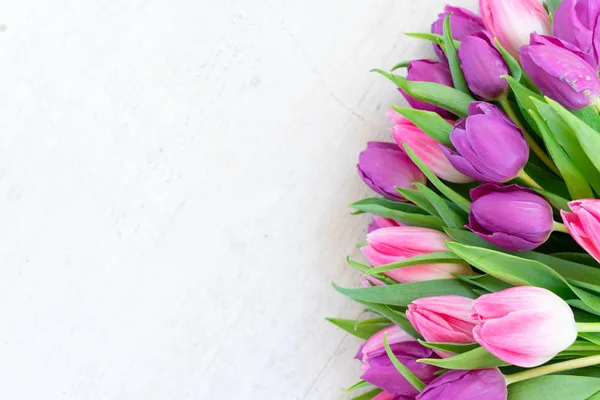 Čerstvé růžové tulipány — Stock fotografie