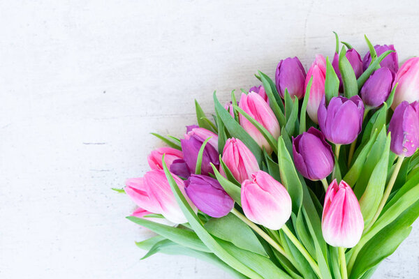 Розовые тюльпаны