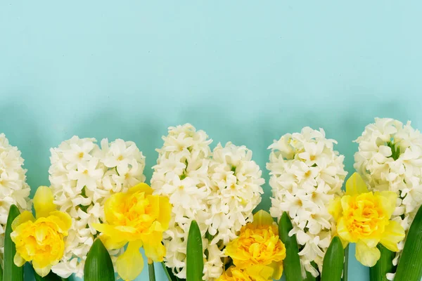 Hyacinth and daffodils — Stock Photo, Image