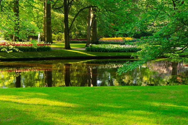 Lagoa de primavera no parque — Fotografia de Stock