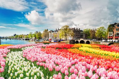 Amstel Kanalı, Amsterdam