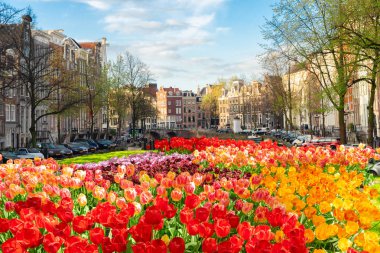 Hollanda, Amstardam 'ın Evleri