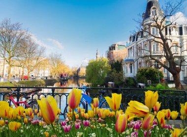 Amsterdam 'daki kanallardan biri.