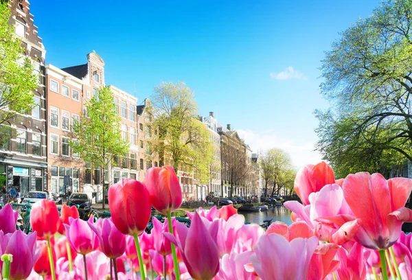 Huizen van Amstardam, Nederland — Stockfoto