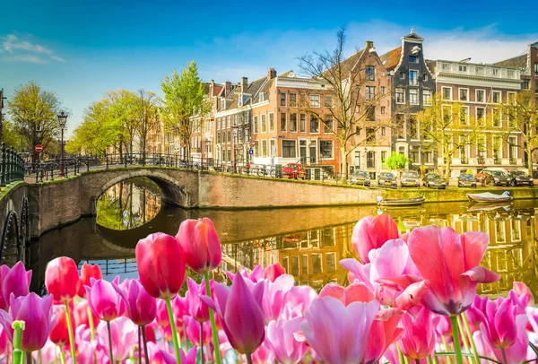 Domy Amsterdam, Nizozemsko — Stock fotografie