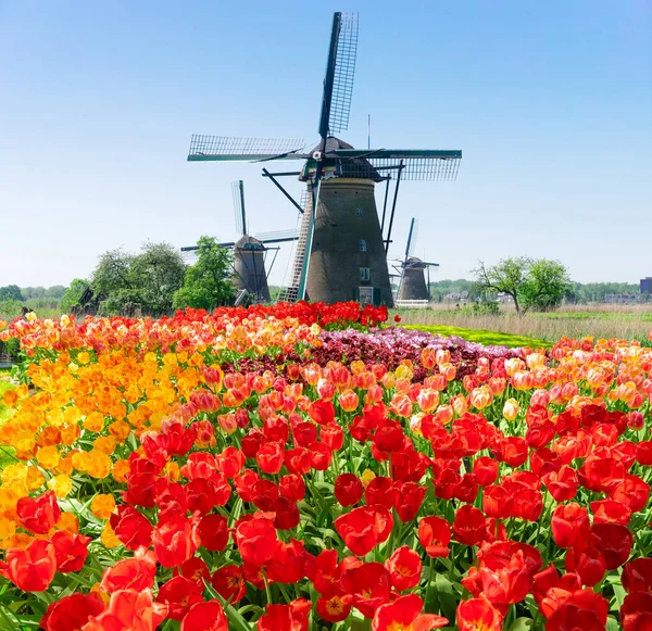 Dutch windmill over river waters — Stock Photo, Image