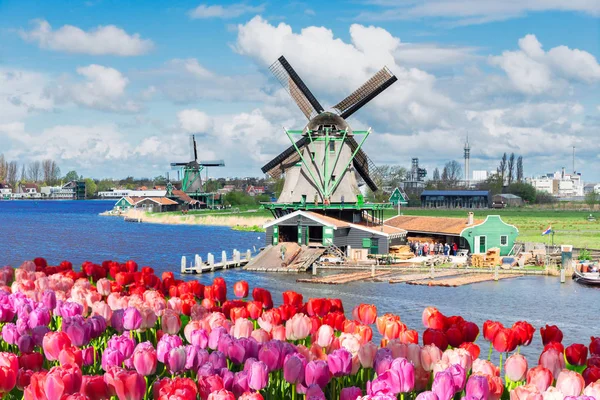 Dutch wind mills — Stock Photo, Image