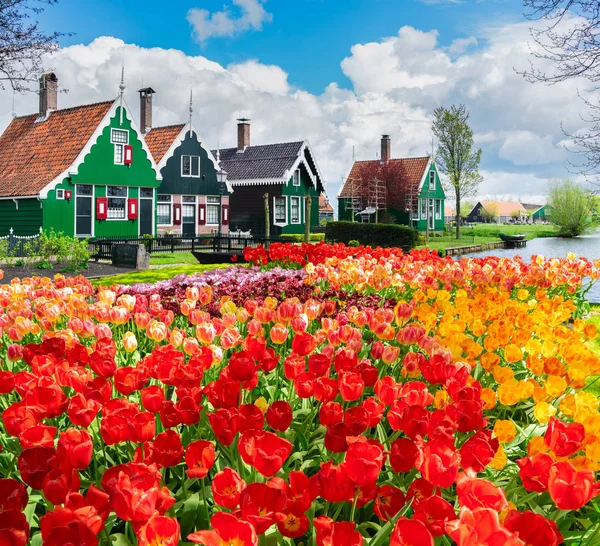 오래 된 타운의 Zaanse Schans, 네덜란드 — 스톡 사진