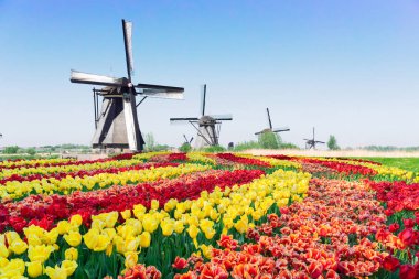 Hollanda yel değirmeni nehir suları üzerinde
