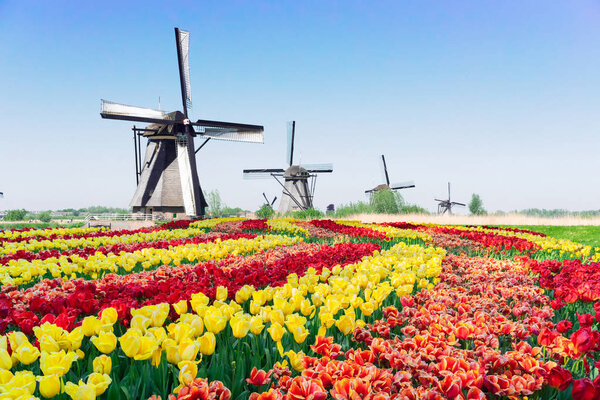 dutch windmill over river waters
