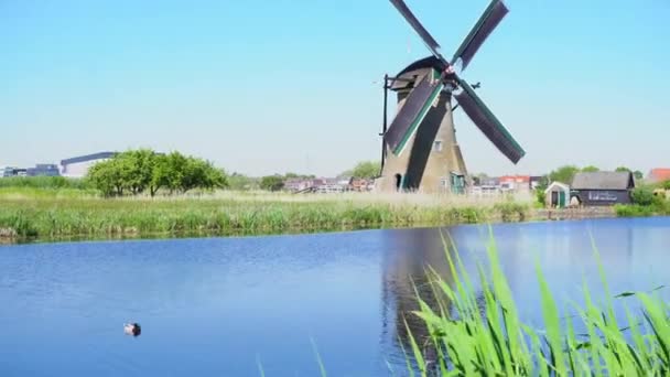 Mulino a vento olandese sulle acque del fiume — Video Stock