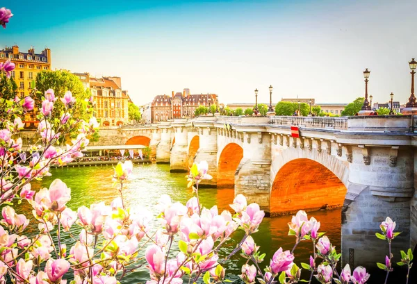 Pont neuf, Paříž, Francie — Stock fotografie