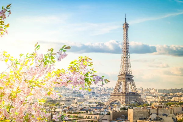 Eiffel tour e paesaggio urbano di Parigi — Foto Stock