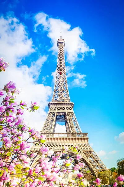 Torre Eiffel, Francia —  Fotos de Stock