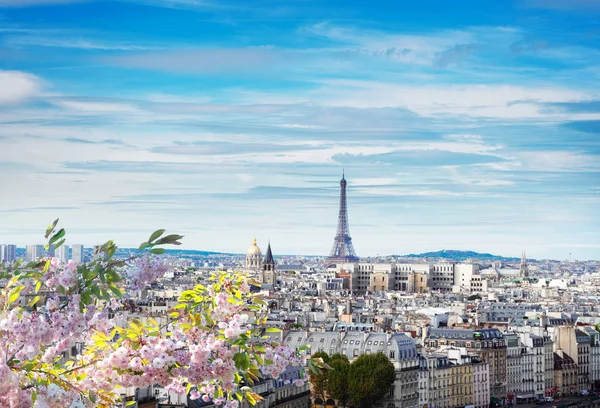 巴黎天际线与埃菲尔铁塔 — 图库照片