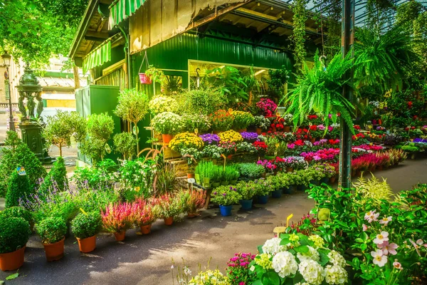 Paris flower market