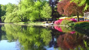 Parktaki bahar göleti