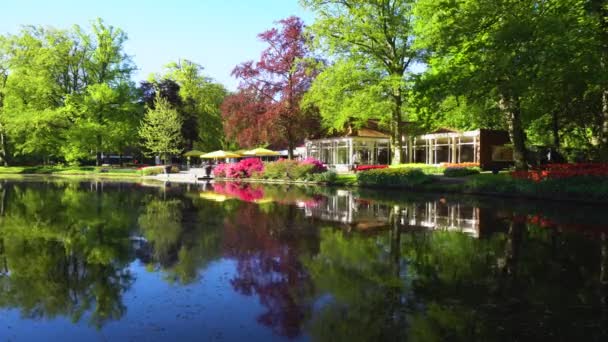 公園の春の池 — ストック動画