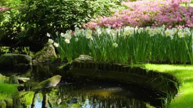 Çiçekli taze çimen