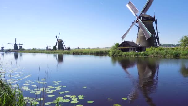 Dutch windmill over river waters — Stock Video