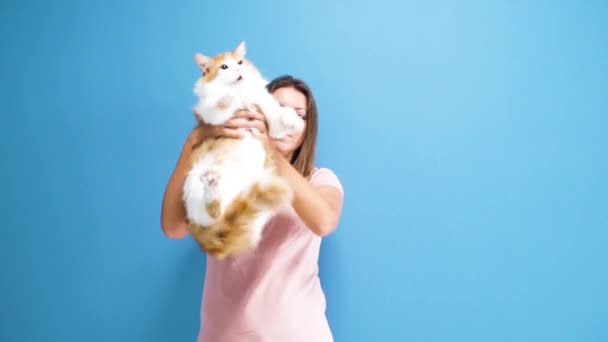 Women with cat — Stock Video