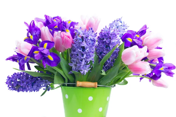 Hyacinths and tulips — Stock Photo, Image