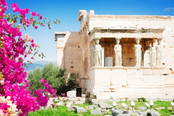 Erechtheion tempel i Akropolis i Aten — Stockfoto