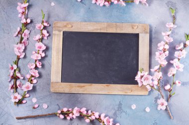 Pembe kiraz çiçeği.