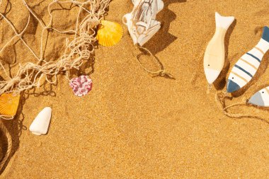 Yaz sahilde deniz kabuklarını