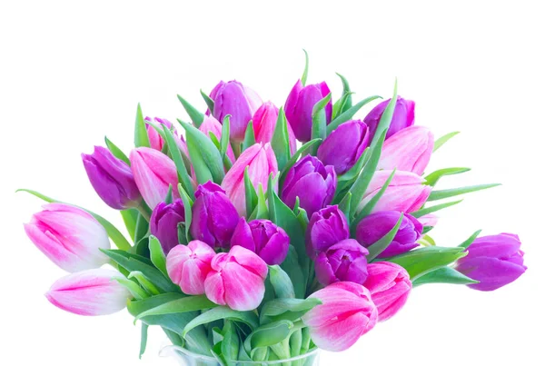 Pink fresh tulips — Stock Photo, Image