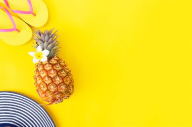 Yaz düzlüğü manzarası