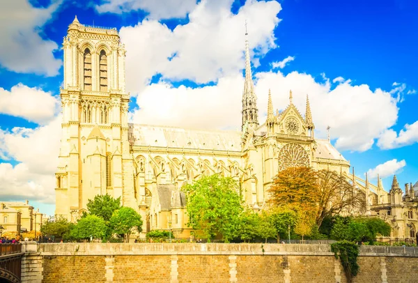 Notre Dame katedralen, Paris Frankrike — Stockfoto