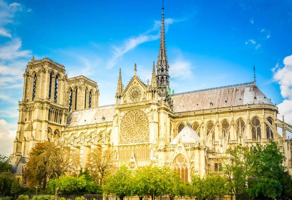 Notre Dame cathedral, Paris France — Stock Photo, Image