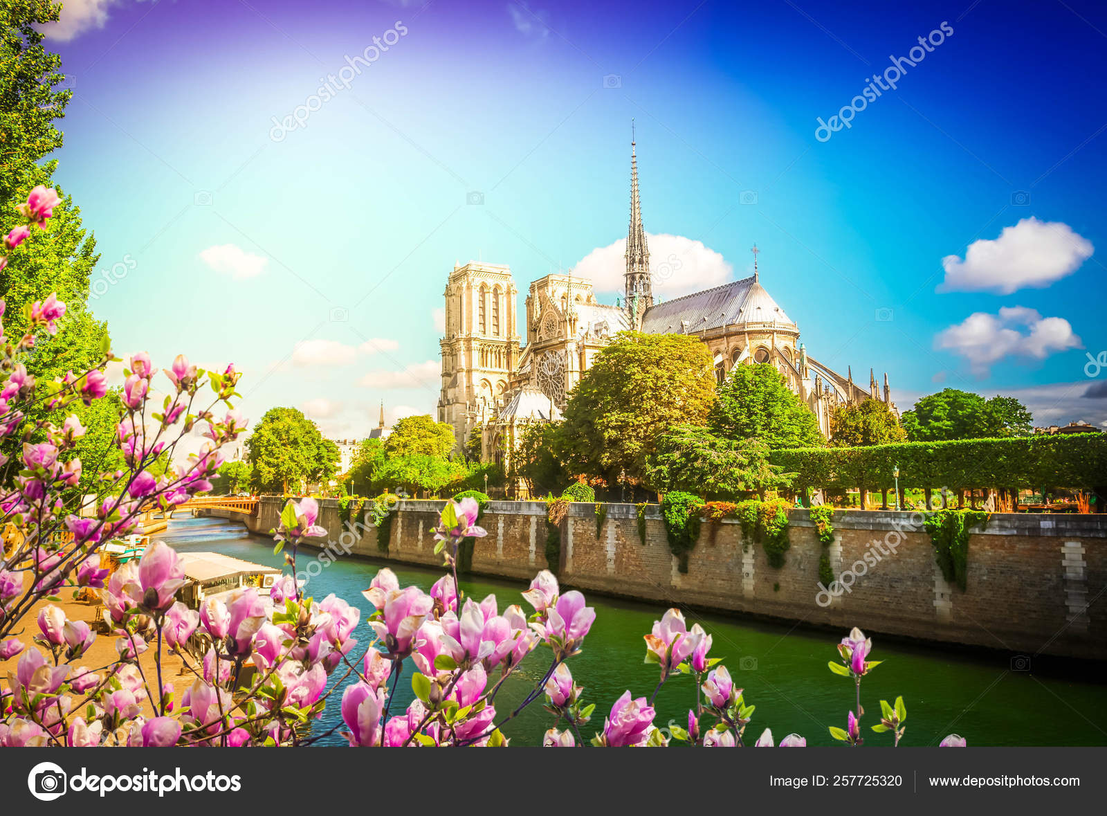 https://st4.depositphotos.com/1038919/25772/i/1600/depositphotos_257725320-stock-photo-notre-dame-cathedral-paris-france.jpg