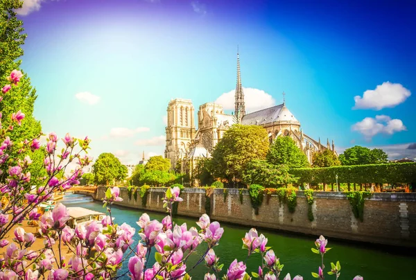 Notre Dame katedralen, Paris Frankrike — Stockfoto