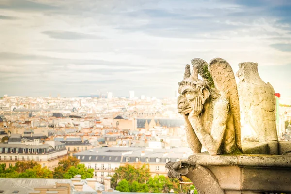 Gargoyle of Paris — Stock Photo, Image