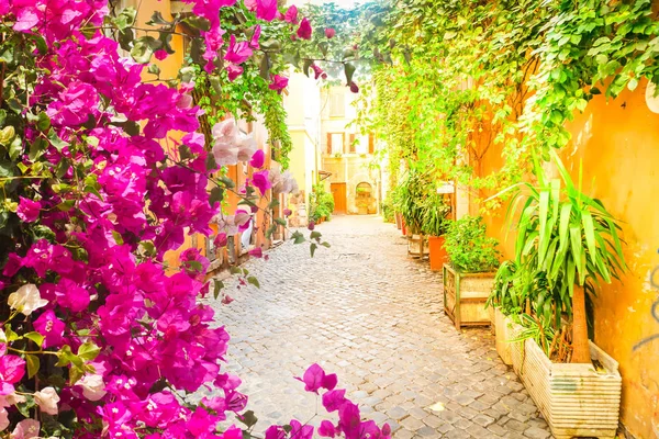 Street in Trastevere, Rome, Italy — Stock Photo, Image