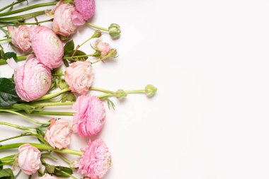 Ranunculus düz konum