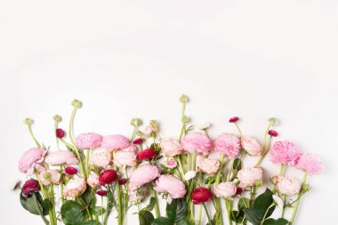 Ranunculus düz konum