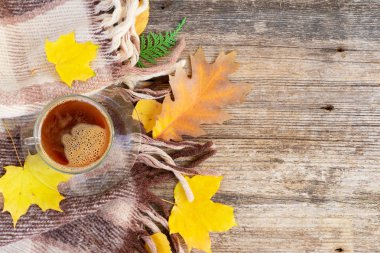 Sonbahar arkaplanından çıkar