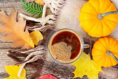 Sonbahar arkaplanından çıkar